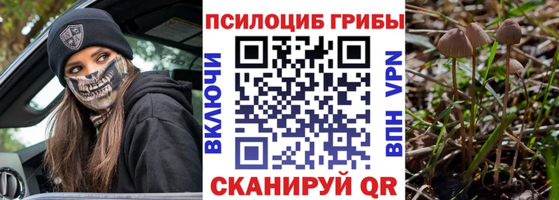 Купить закладки  Мосальск  Галлюциногенные грибы Psilocybine cubensis 